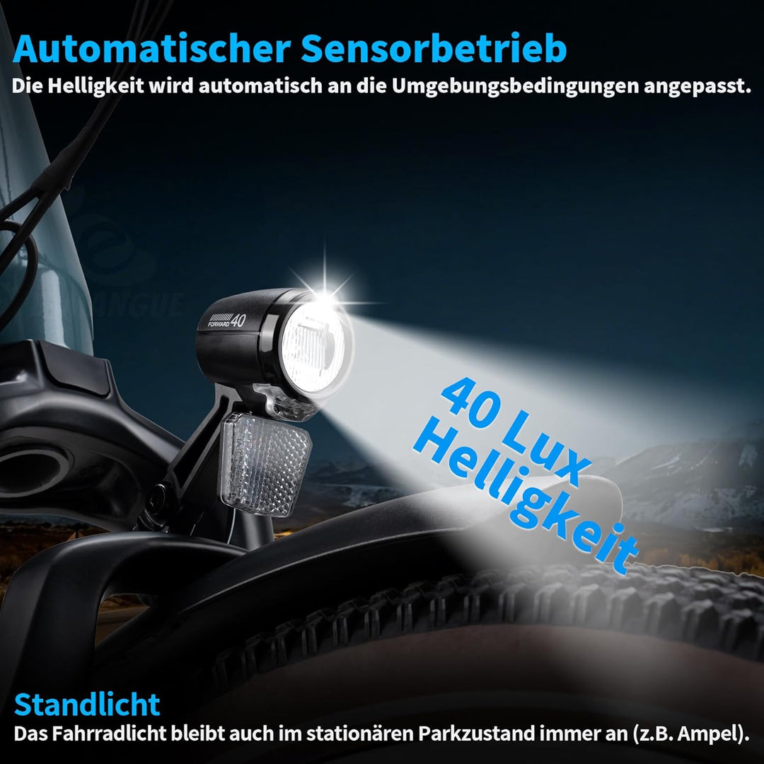 E-Bike LED Fahrradlicht Dynamo Vorne mit Tagfahrlicht, Standlichtfunktion, 40 LUX StVZO Zugelassen D