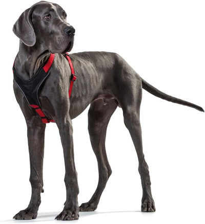 HUNTER NEOPREN Hundegeschirr, Nylon, gepolstert mit Neopren, M/1 53 - 65 cm, schwarz/grau schwarz/gr