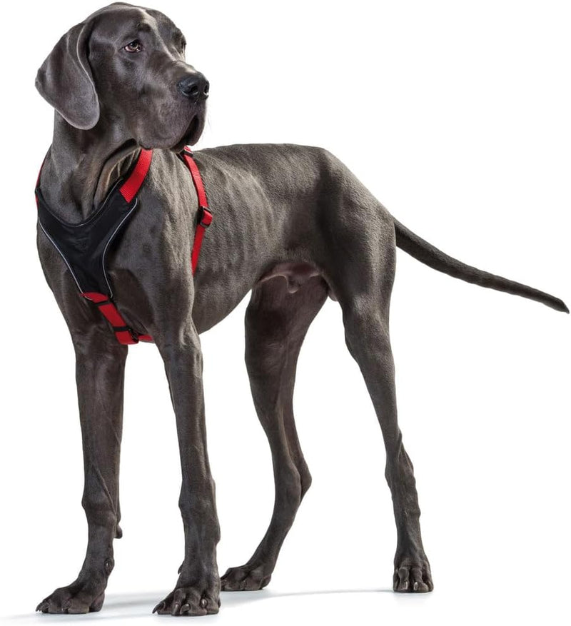 HUNTER NEOPREN Hundegeschirr, Nylon, gepolstert mit Neopren, M/2 58 - 72 cm, oliv/schwarz oliv/schwa