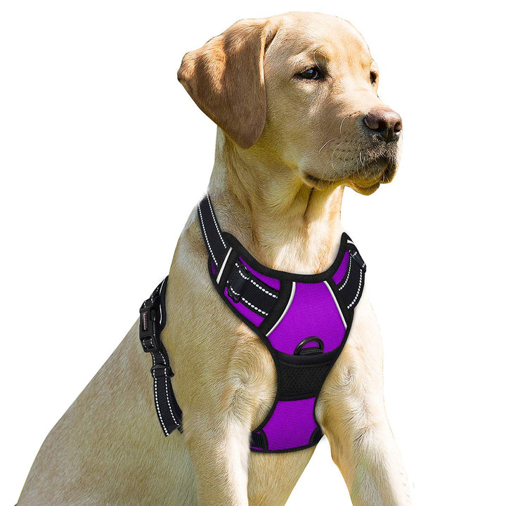 BARKBAY Dog Harness No-Pull Pet Harness Adjustable Outdoor Pet Vest 3M Reflective Oxford Material Ve