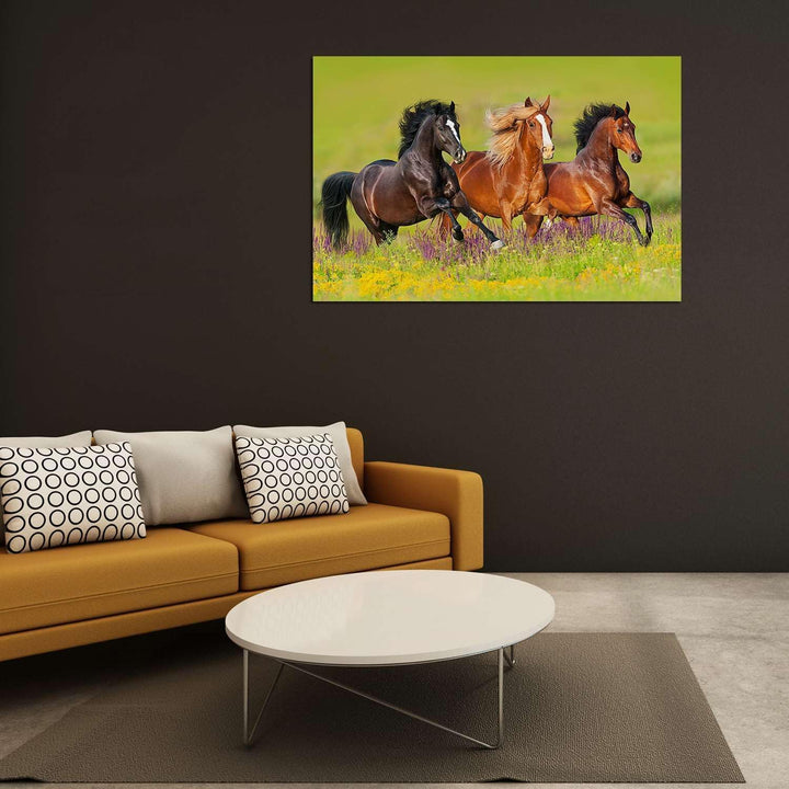 Startonight Bilder Pferderennen auf dem Feld - Leinwandbilder Moderne Kunst - Tiere Wanddeko Kunstdr