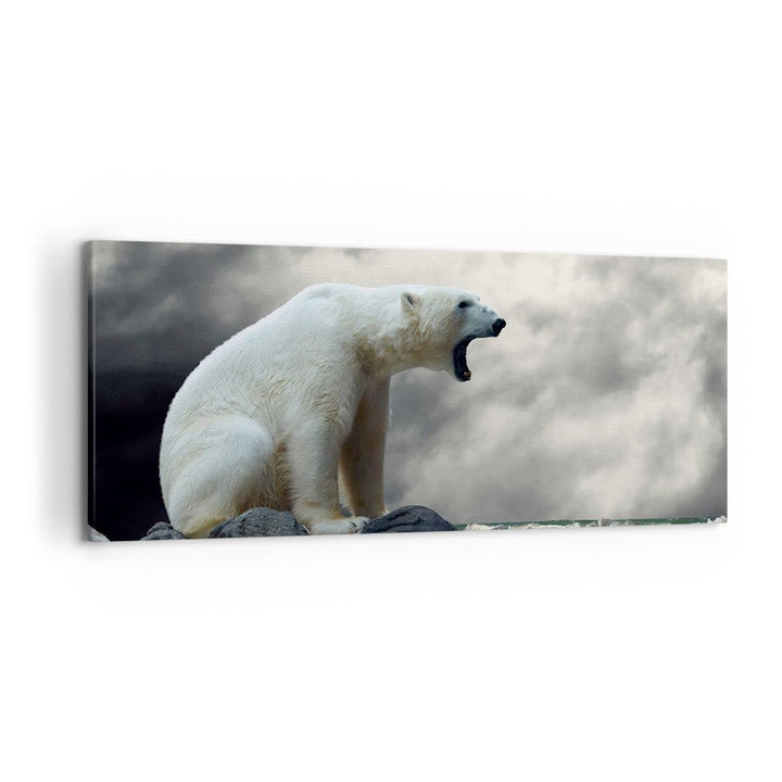 Wandbilder Dekoration Wohnzimmer Bär Tiere Wasser Eis Panorama Bilder auf Leinwand 120x50cm Leinwand