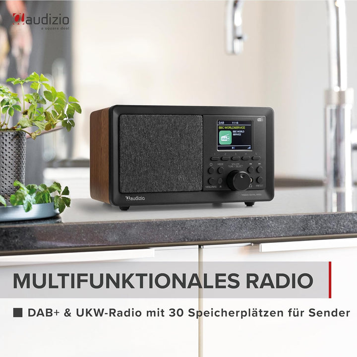 Audizio Padova - Küchenradio DAB Radio mit Fernbedienung, Retro DAB Radio mit Bluetooth, TFT Farbdis
