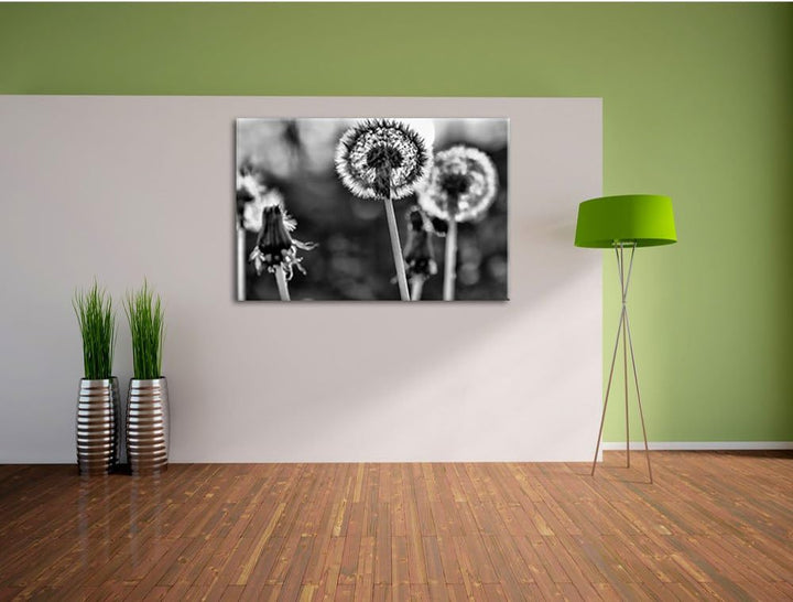 Monocrome, Pusteblume, Format: 100x70 auf Leinwand, XXL riesige Bilder fertig gerahmt mit Keilrahmen