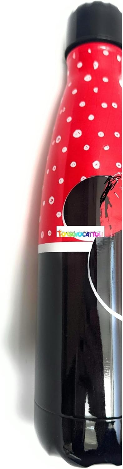 Thermosflasche für Jungen, Trinkflasche aus Stahl, dekoriert, 0,5 l, luftdicht, BPA-frei, verschiede