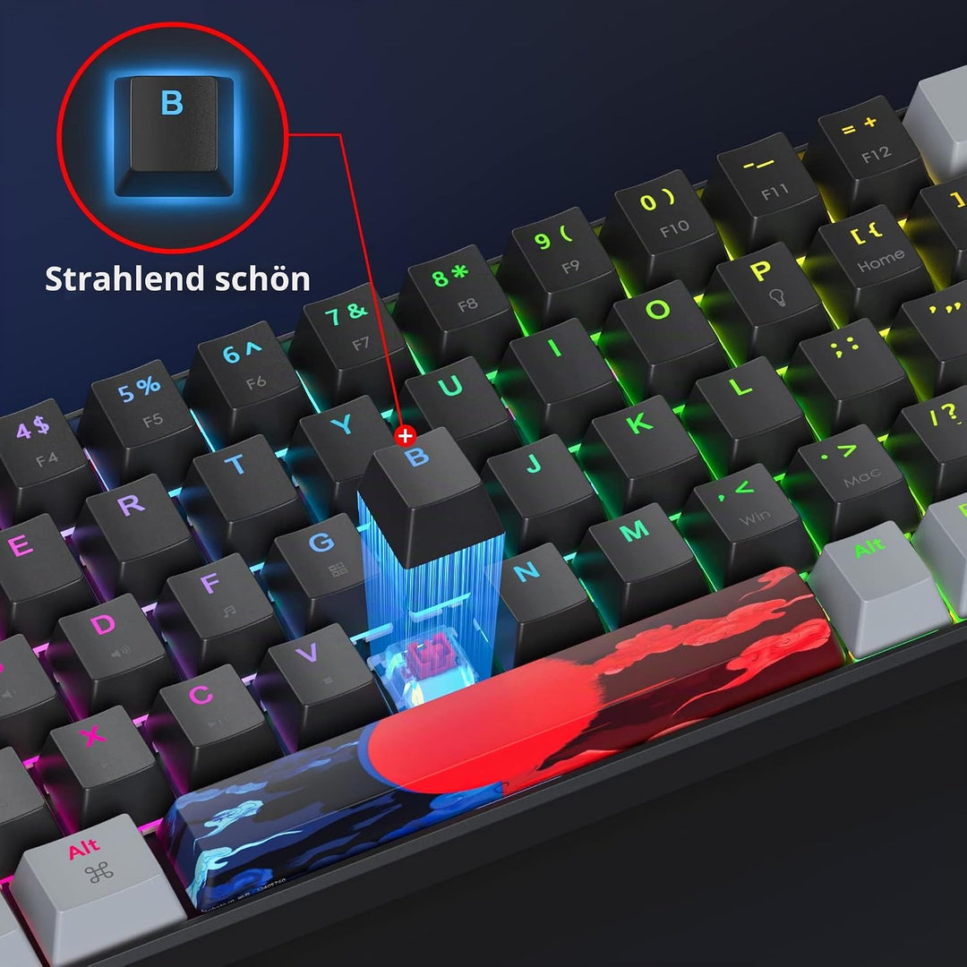 SOLIDEE Tragbare 65% mechanische Gaming-Tastatur,68 Tasten kompakte RGB LED-Hintergrundbeleuchtung,k