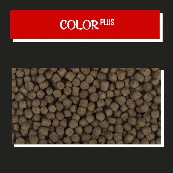Tanoshi Koifutter - Color Plus 5 kg 3mm | Schwimmendes Allein-Koifutter für Intensive Farbentwicklun