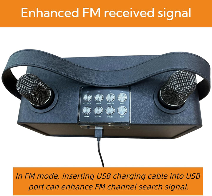 Karaoke-Maschine, Tragbarer Bluetooth-Lautsprecher mit 2 drahtlosen Mikrofonen, Karaoke-Mikrofon für