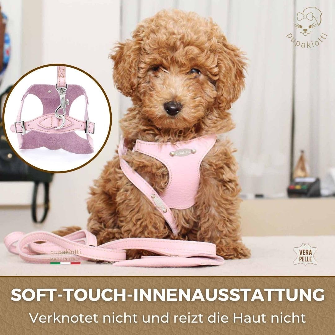 PUPAKIOTTI Basic Hundegeschirr Kleine und mittlere Grösse | Ergonomisches und verstellbares Hundeges