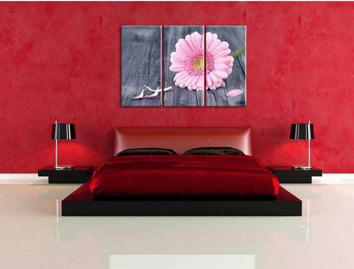 Pixxprint Pinke Gerbera auf rustikalem Boden als Leinwandbild - Grösse: 3-Teilig (120x80cm) - Wandbi