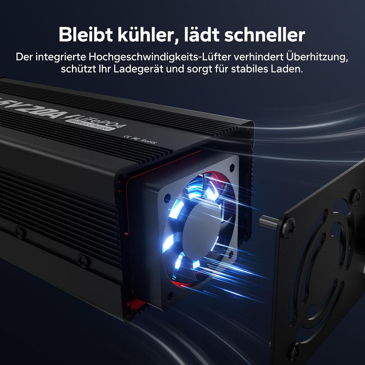 LiTime 14.6V 20A Lithium Batterieladegerät 12V LiFePO4 Batterieladegerät AC-DC Smart Charger mit And