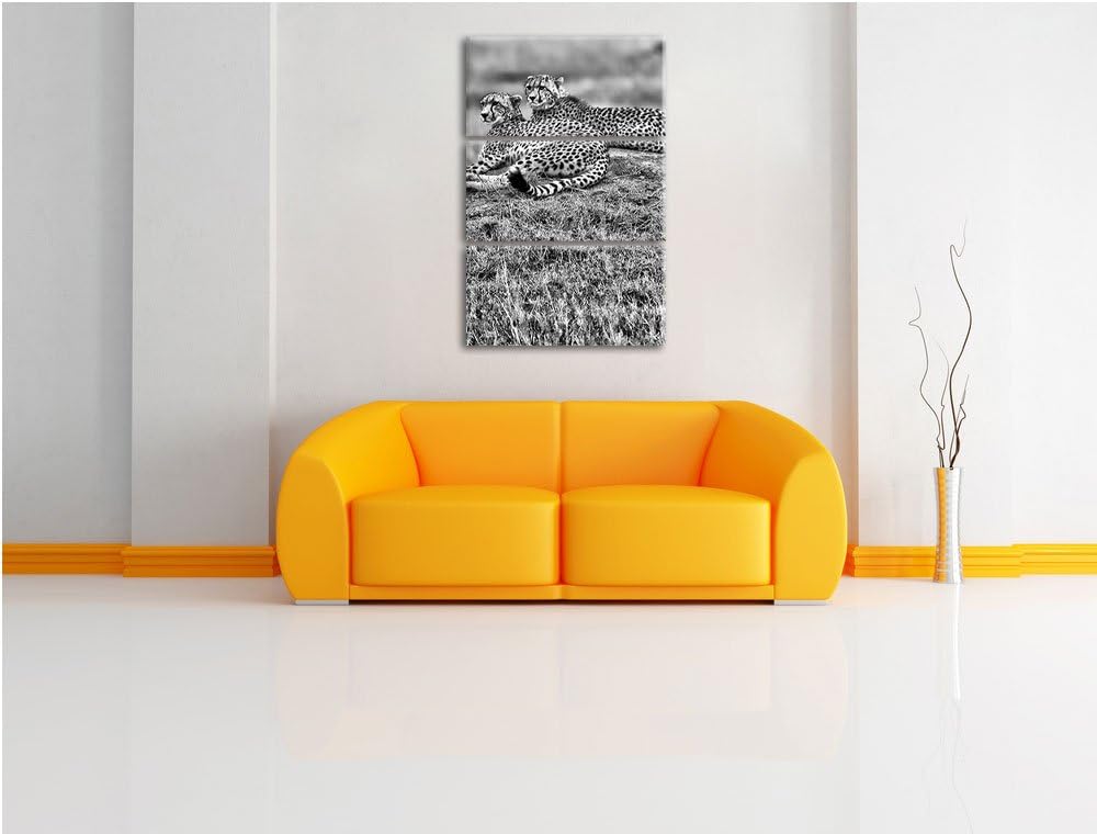 Pixxprint majestätische Geparden auf Stein als Leinwandbild/Grösse: 3 Teilig (120x80) cm/Wandbild/Ku