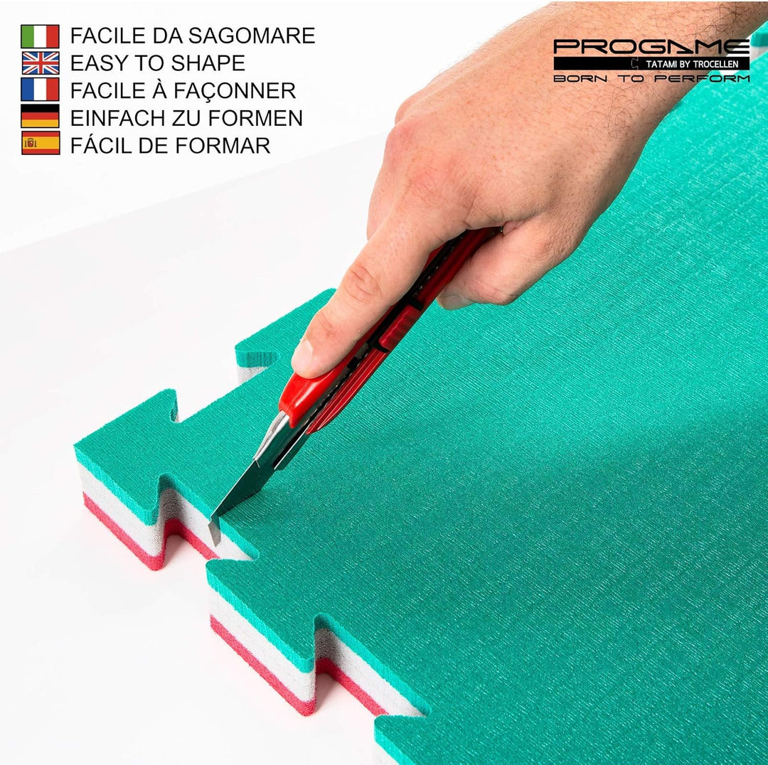 ProGame Kit 8 Stück Tatami Matte 4 cm PERFORMANCE-HOME 50x50 cm Judomatte Grün/Rot