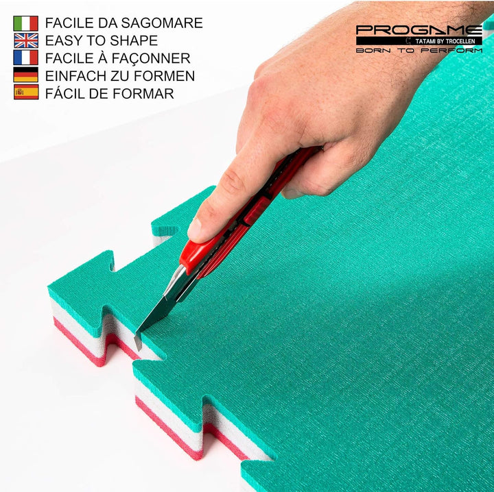 ProGame Kit 8 Stück Tatami Matte 4 cm PERFORMANCE-HOME 50x50 cm Judomatte Grün/Rot