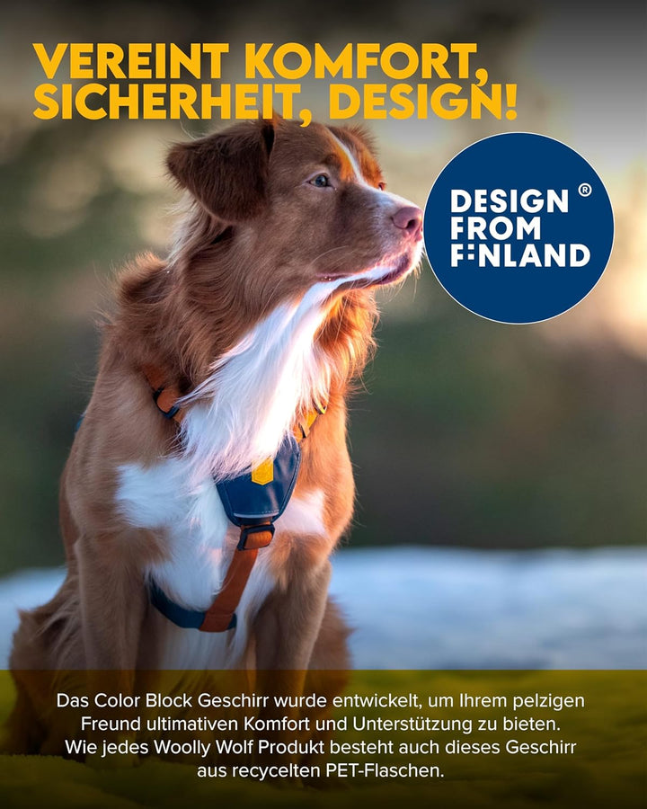 Woolly Wolf Color Block Hundegeschirr für kleine Hunde & Welpen XXS – Geschirr mit 5-Punkt-Anpassuns