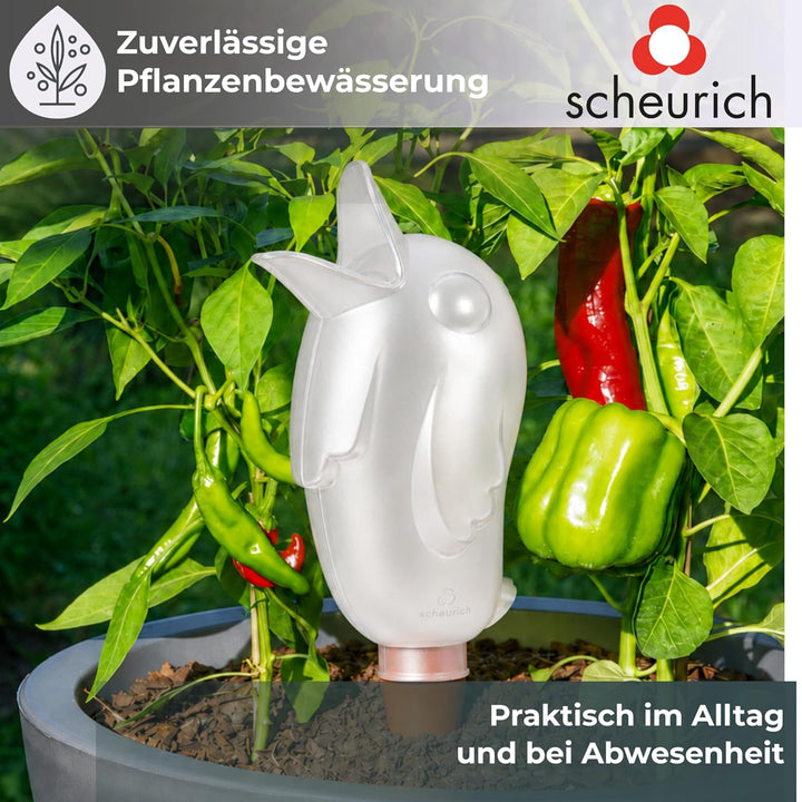 Scheurich Wasserspeicher Bördy XL | 2X Weiss | 620ml Füllmenge | Bewässerungskugel klein mit Ton Fus
