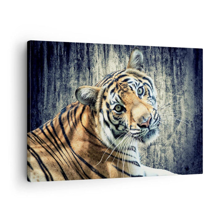 ARTTOR Bilder auf Leinwand Indien stein tiger wild Leinwandbild 70x50cm Wandbilder Dekoration Wohnzi