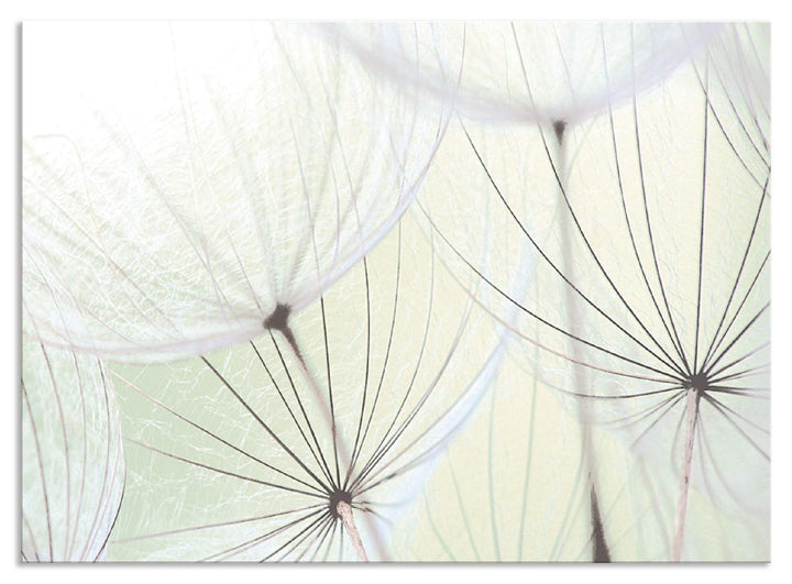 ARTland Spritzschutz Küche aus Alu für Herd Spüle 90x65 cm (BxH) Küchenrückwand mit Motiv Blume Pust