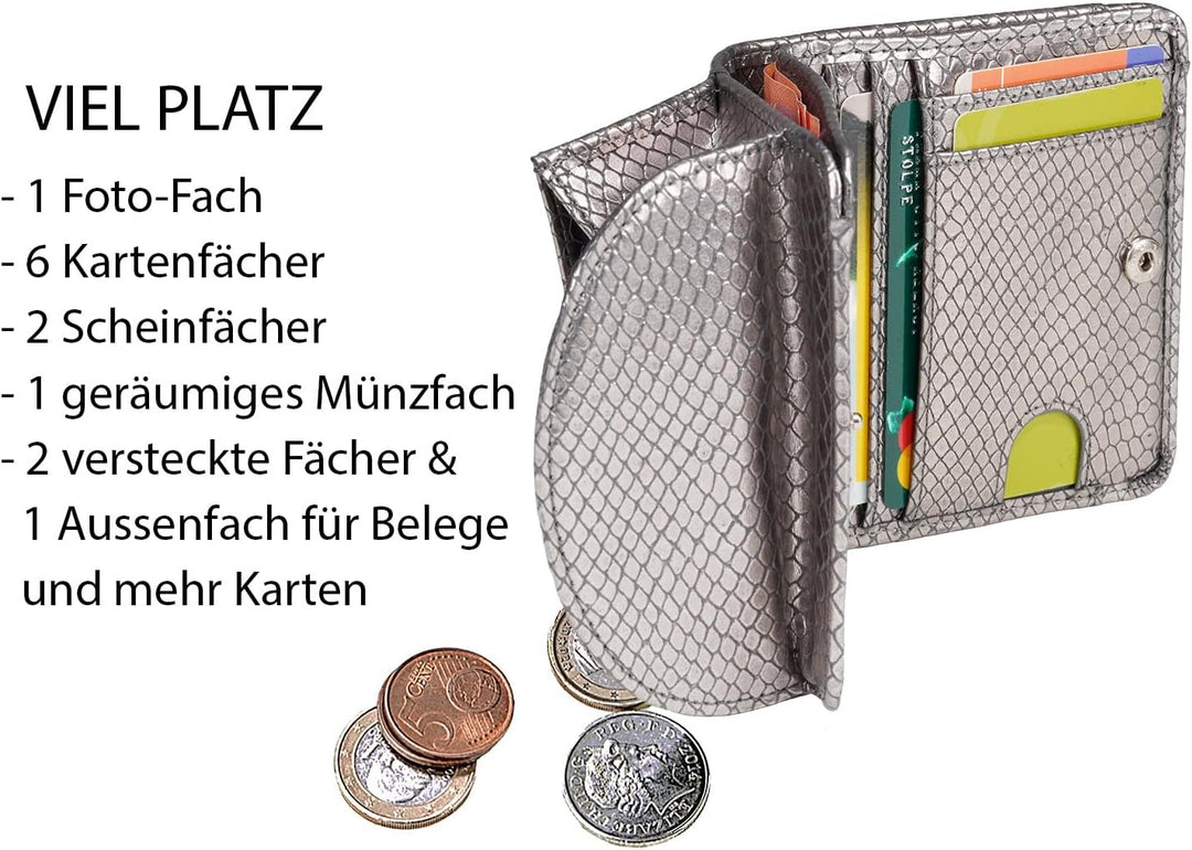 Portmonee Damen klein, Reise Geldbörse, viele Fächer, Schlangen-Look silber, RFID Blocker, Münzfach