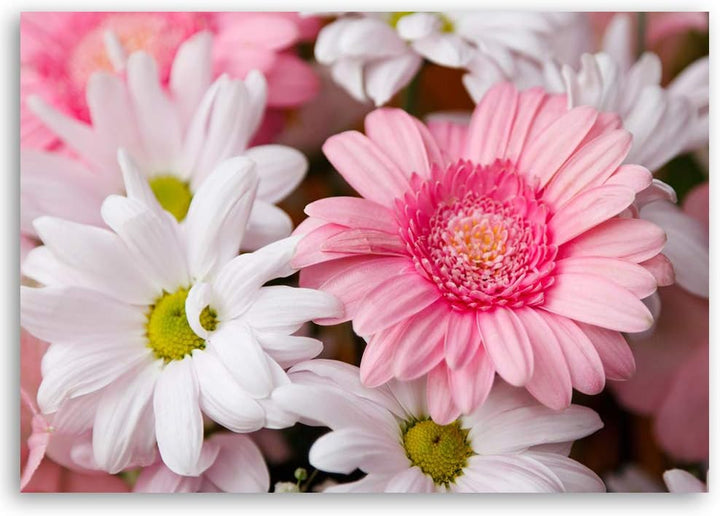 Feeby Bild auf Leinwand Blumen Kunstdruck modern Garten Rosa 80x60 cm Leinwandbild 80x60 cm Rosa_D,