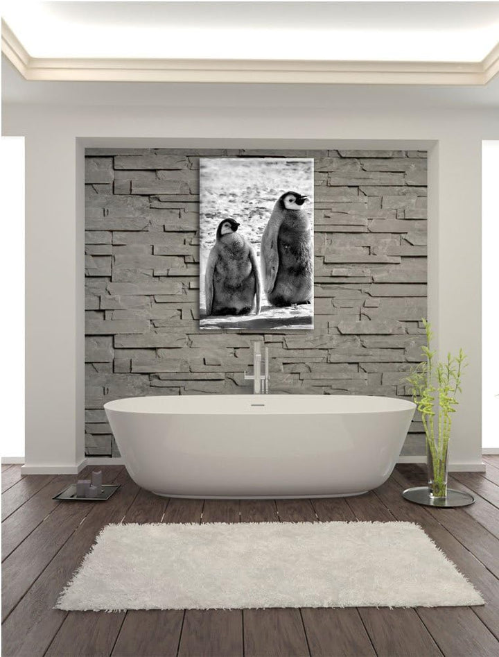 Pixxprint Monocrome, Vier Kaiserpinguin-Küken, Format: 100x70 auf Leinwand, riesige Bilder fertig ge