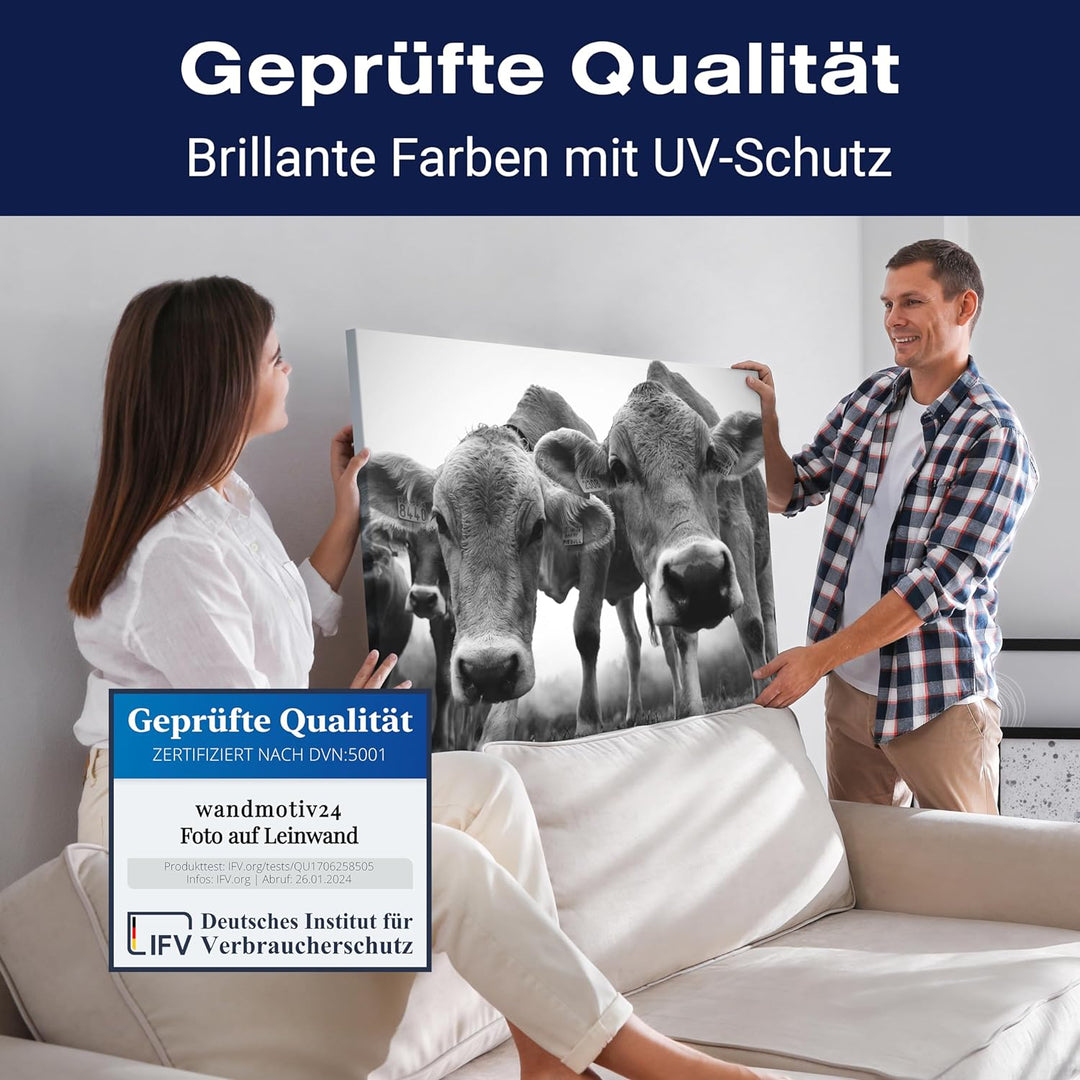 wandmotiv24 Leinwandbild, Tiere, 100x75cm, Querformat, Kühe, Deko, Bilder auf Leinwand, Wanddeko, XX