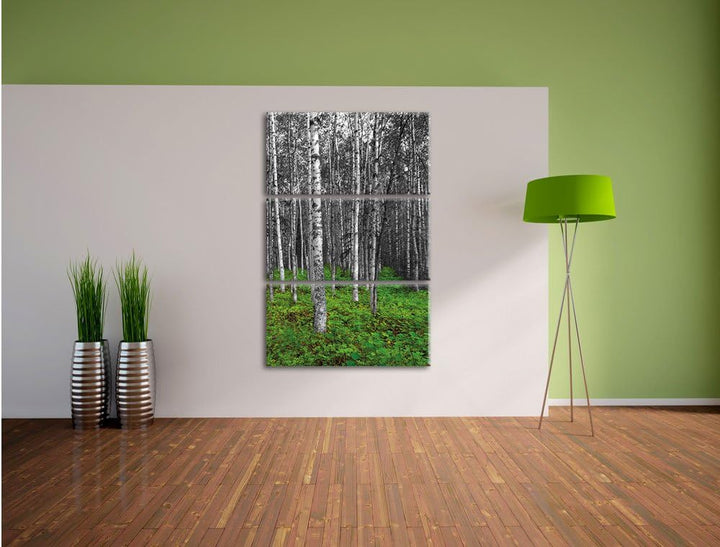 Pixxprint Kleiner ansehnlicher Birkenwald als Leinwandbild/Grösse: 3 Teilig (120x80) cm/Wandbild/Kun