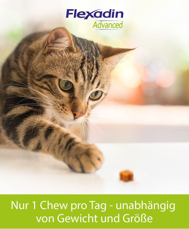 Flexadin Advanced für Katzen von Vetoquinol 60 Stück