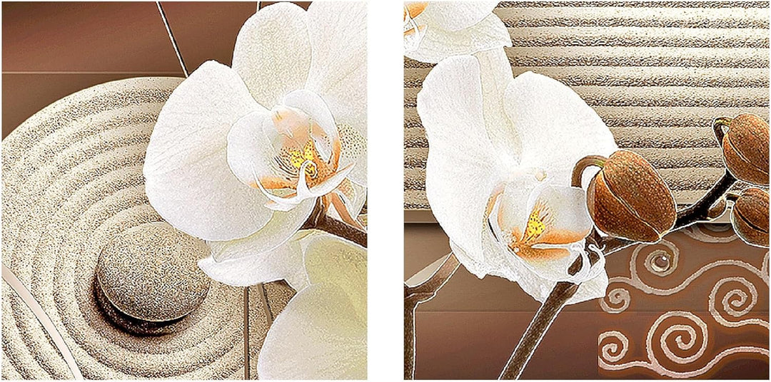Runa Art Bild Modern Blumen Orchidee - Made in Germany - Wandbilder Sand Beige Braun 4 Teilig 205242