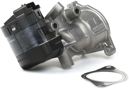 Delphi EG10396-12B1 Agr-Ventil