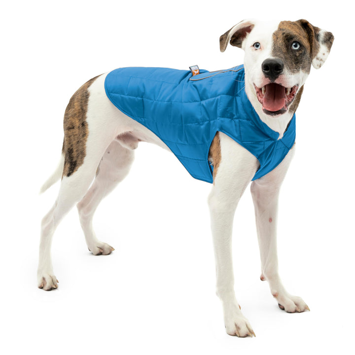 Kurgo Loft Hundejacke, Mit Hundegeschirr kombinierbar, Wasserdicht und reflektierend, Ideal für den
