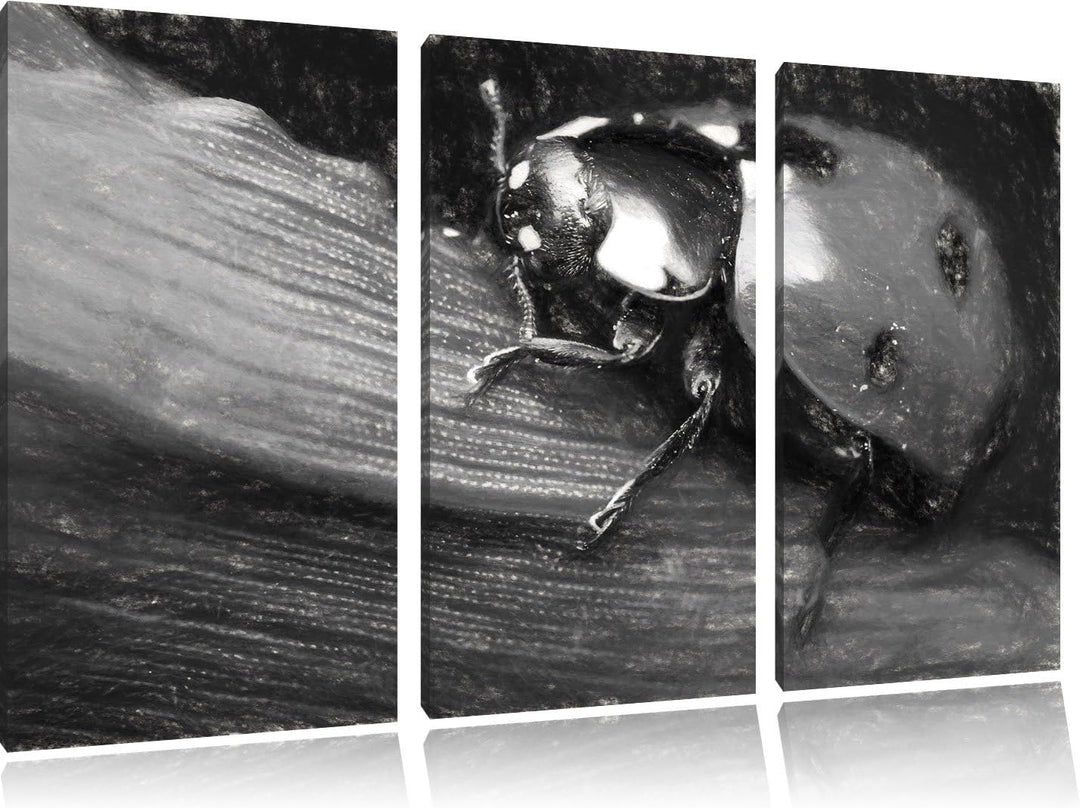 Pixxprint Marienkäfer in Detailaufnahme Kunst Kohle Effekt 3-Teiler Leinwandbild 120x80 Bild auf Lei