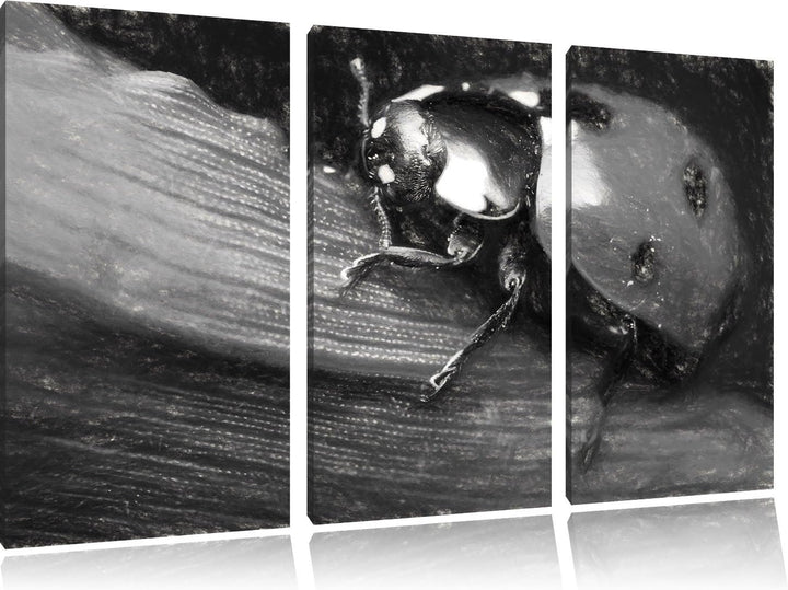 Pixxprint Marienkäfer in Detailaufnahme Kunst Kohle Effekt 3-Teiler Leinwandbild 120x80 Bild auf Lei