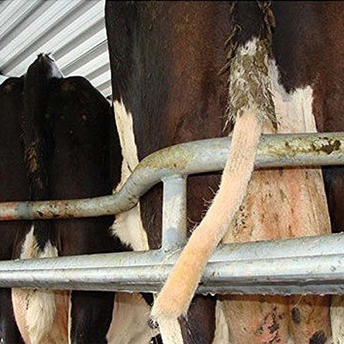 Kerbl - Tail Trimmer Tailwell II - 18250