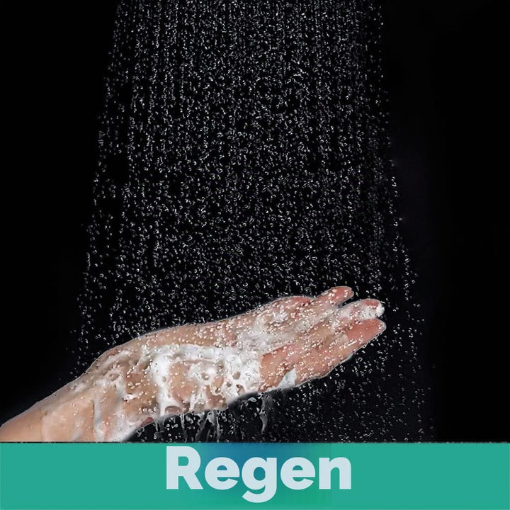 hansgrohe wassersparender Duschkopf Raindance Select S 120, Sparduschkopf, Duschbrause, 3 Strahlarte