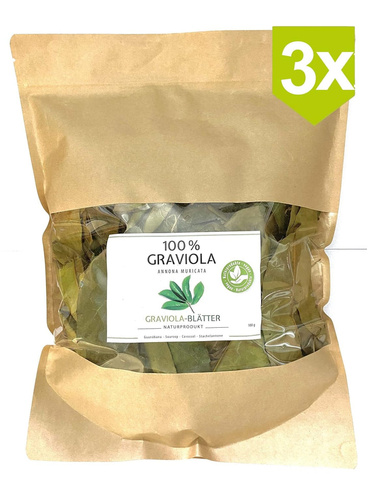 3 x 100g GRAVIOLA BLÄTTER / NEUE ERNTE. Wildsammlung. Naturbelassen & unbehandelt. Teefein. Soursop.