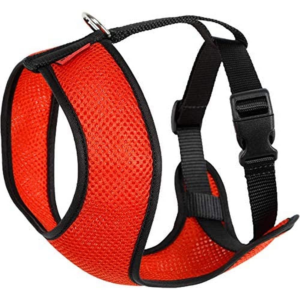 Arppe 195760050170 Arnés Acc Plus Orange/Marineblau 41 cm/54-80 cm (Confezione da 1), Orange/Marineb
