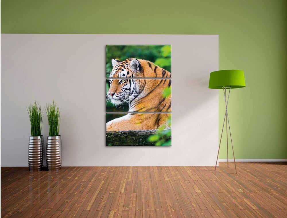 Pixxprint anmutiger Tiger auf Baumstamm als Leinwandbild/Grösse: 3 Teilig (120x80) cm/Wandbild/Kunst