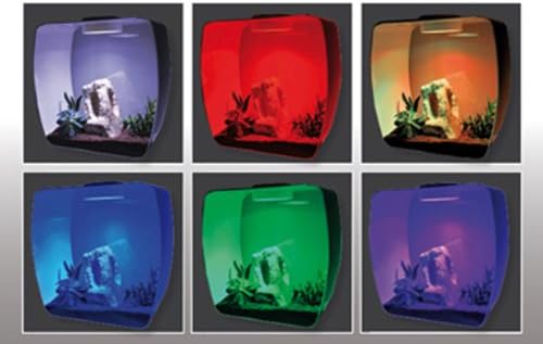 Lucky Reptile Life Box 35 beere, Nanoterrarium aus Acrylglas beere gross, beere gross