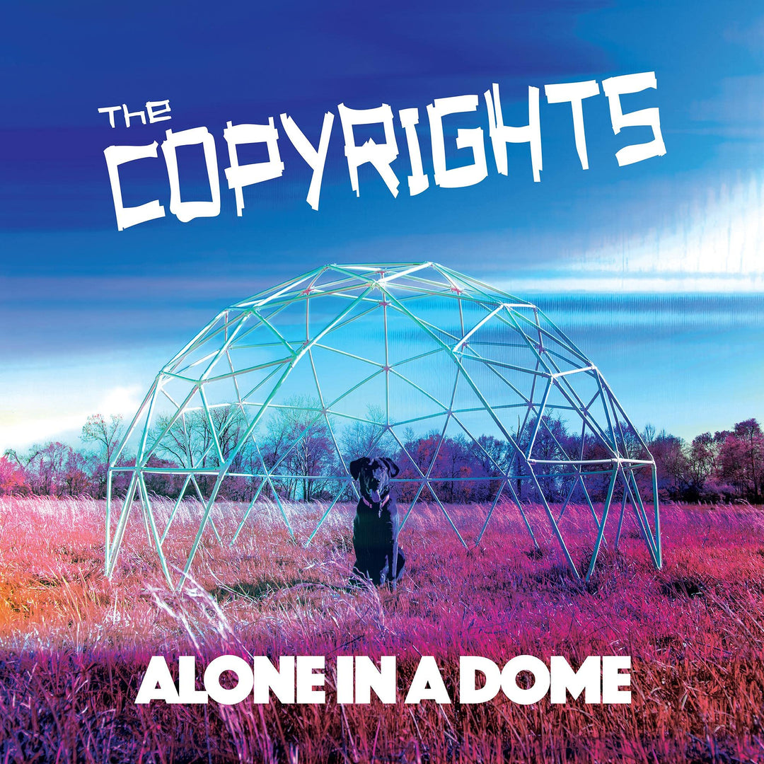 Alone in a Dome, Vinyl