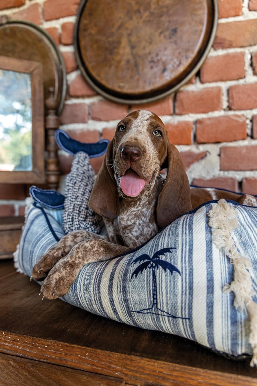 Croci Ice Glide Kühlweste für Hunde mit UV-Schutz, bequem und atmungsaktiv, temperaturregulierend, F