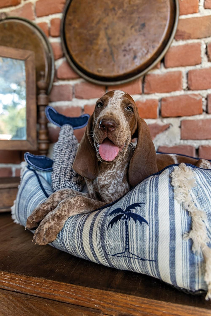Croci Ice Glide Kühlweste für Hunde mit UV-Schutz, bequem und atmungsaktiv, temperaturregulierend, F