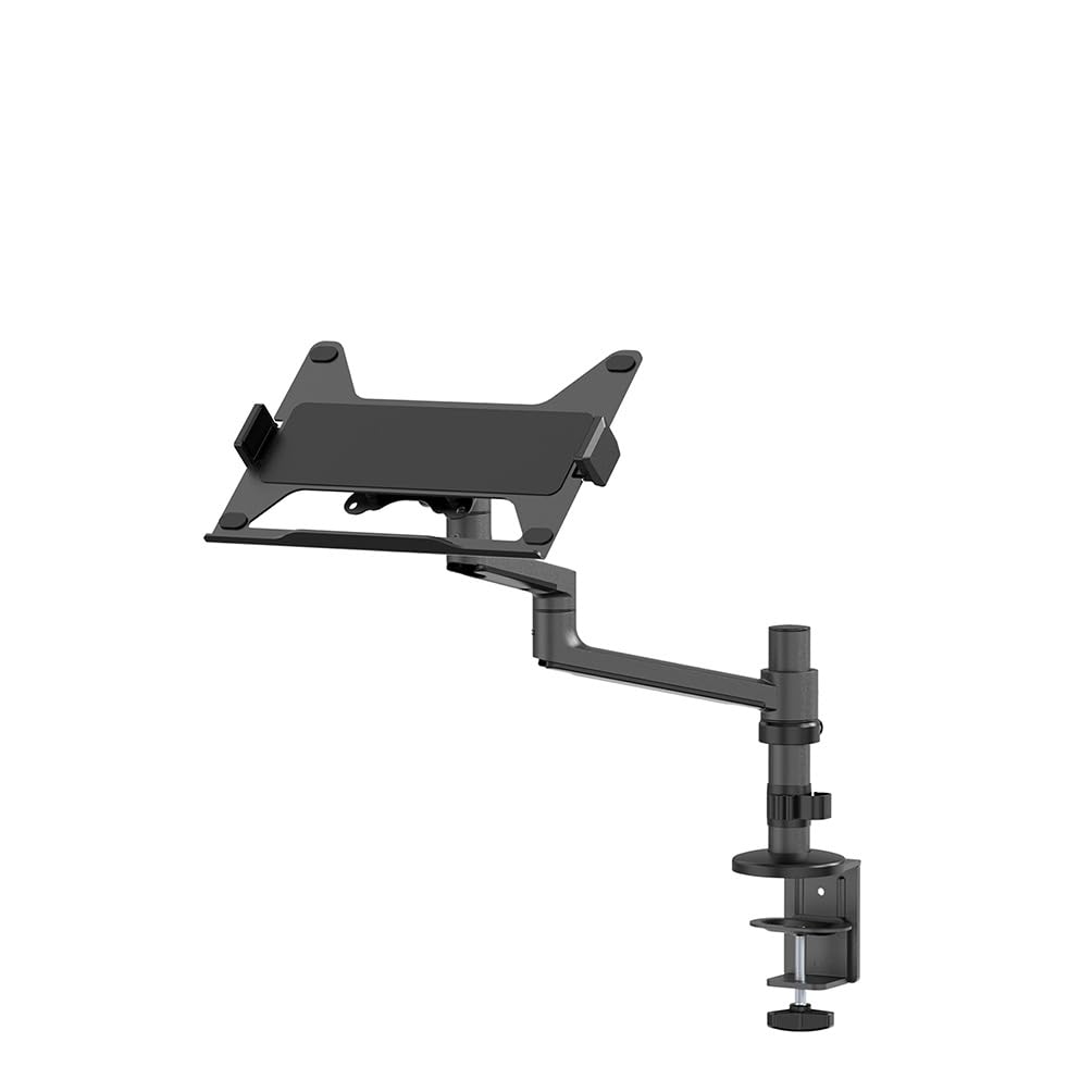 Neomounts Tischhalterung Laptop 11,6-17,3 Schwarz