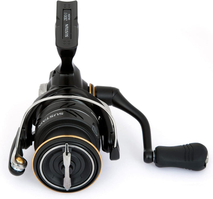 Shimano Sustain FJ 2500 Angelrolle