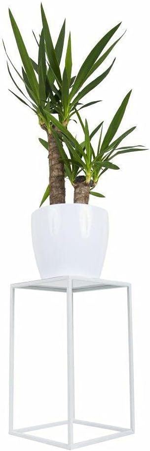 HowHomely Blumenständer Metall Weiss 40 cm Hoch - Solider und Robuster Blumenhocker Metall - Pflanze