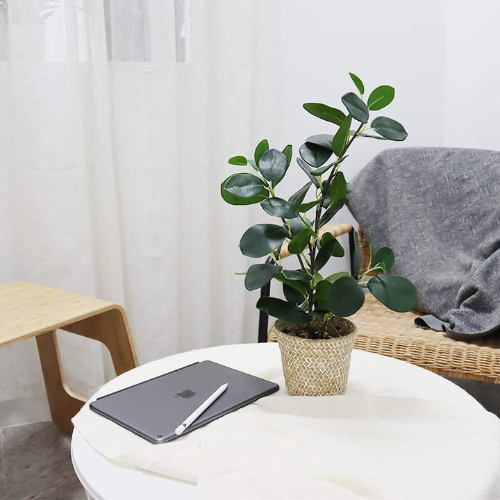 SAROSORA Künstlicher Ficus-Baum, künstliche Pflanzen in gewebtem Topf, 50,8 cm Höhe, für Wohnzimmer,