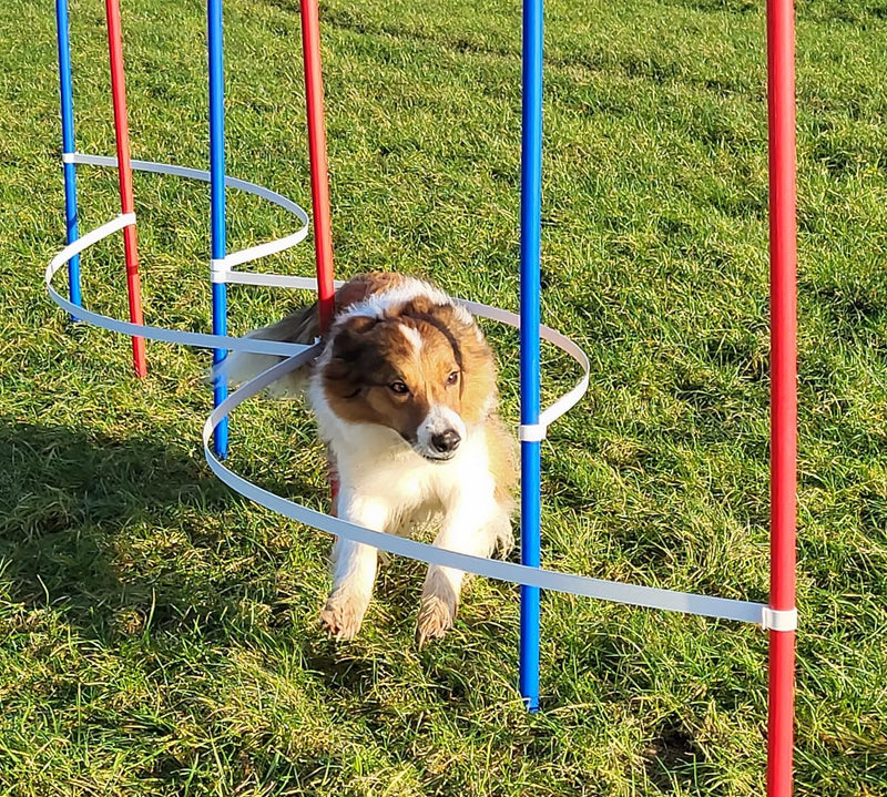 Wuzzmann Agility - Slalom - AUSBILDUNGSSET MIT 4 SLALOMBÖGEN/TRAININGSBÖGEN + 6 SLALOMSTANGEN ROT/BL