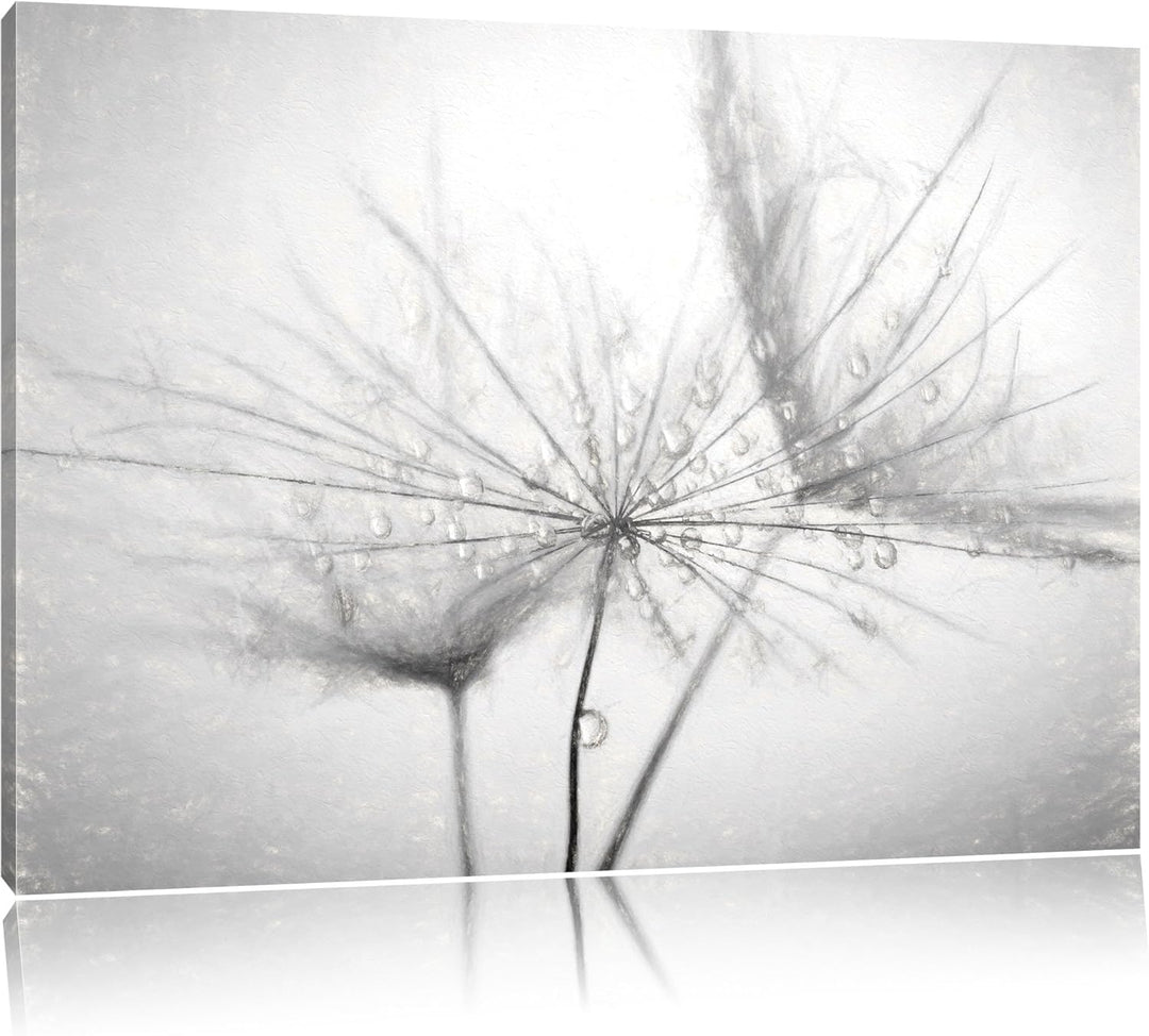 Pixxprint Pusteblume bedeckt mit Tropfen als Leinwandbild/Grösse: 100x70 / Wandbild/Kunstdruck/ferti
