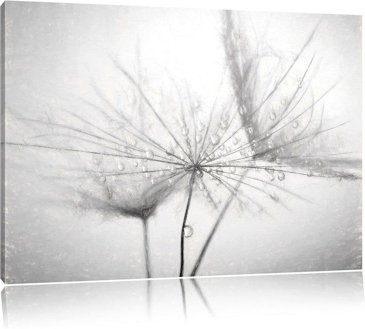 Pixxprint Pusteblume bedeckt mit Tropfen als Leinwandbild/Grösse: 100x70 / Wandbild/Kunstdruck/ferti