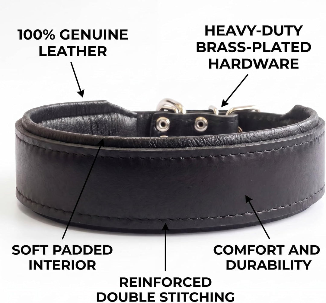Bestia™ "Classic Echtleder Hundehalsband. 100% Leder. Weich gepolstert. TOP Qualität! XXL- Halsumfan